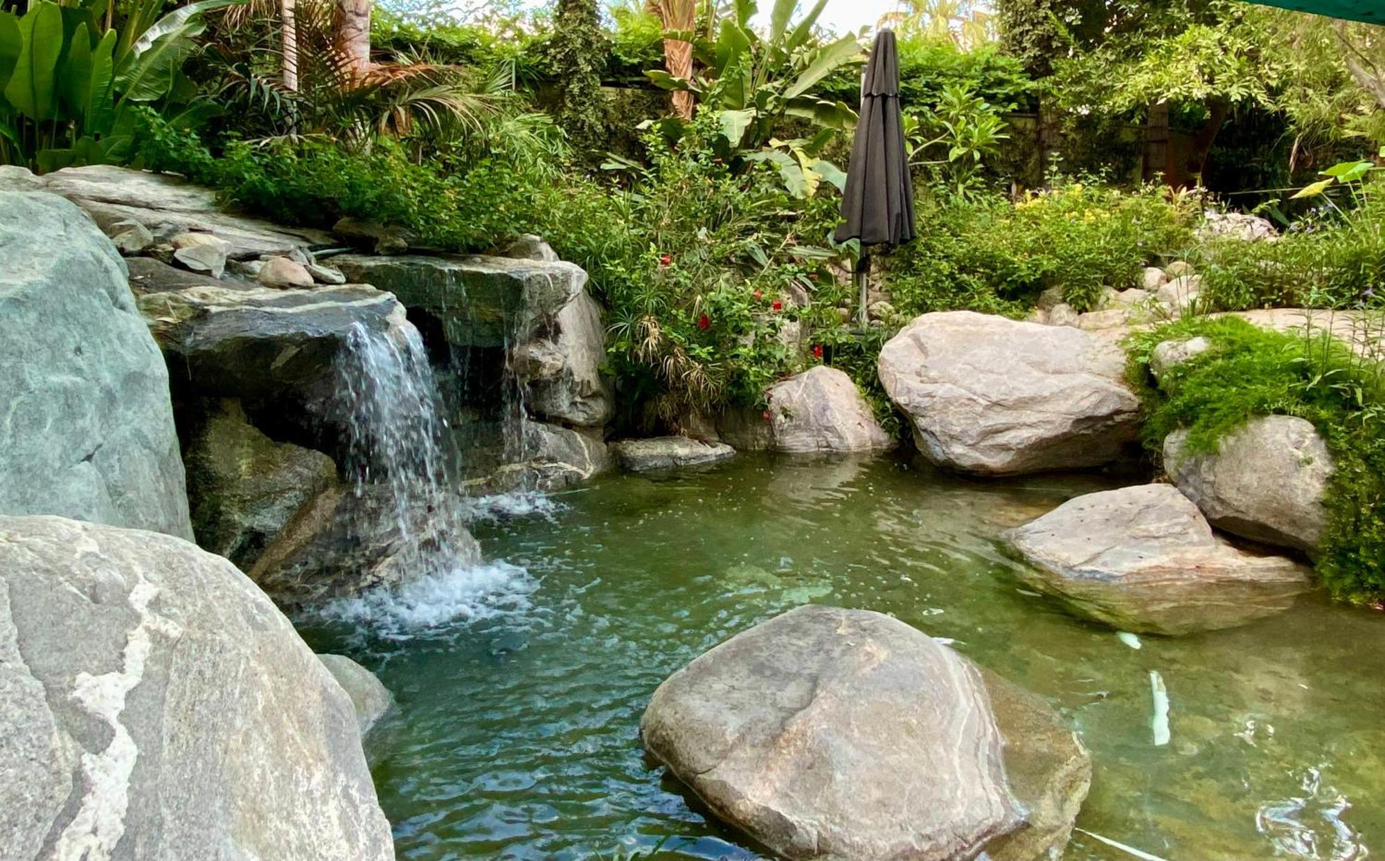 Vista Grande Resort - A Gay Men'S Resort Palm Springs Luaran gambar