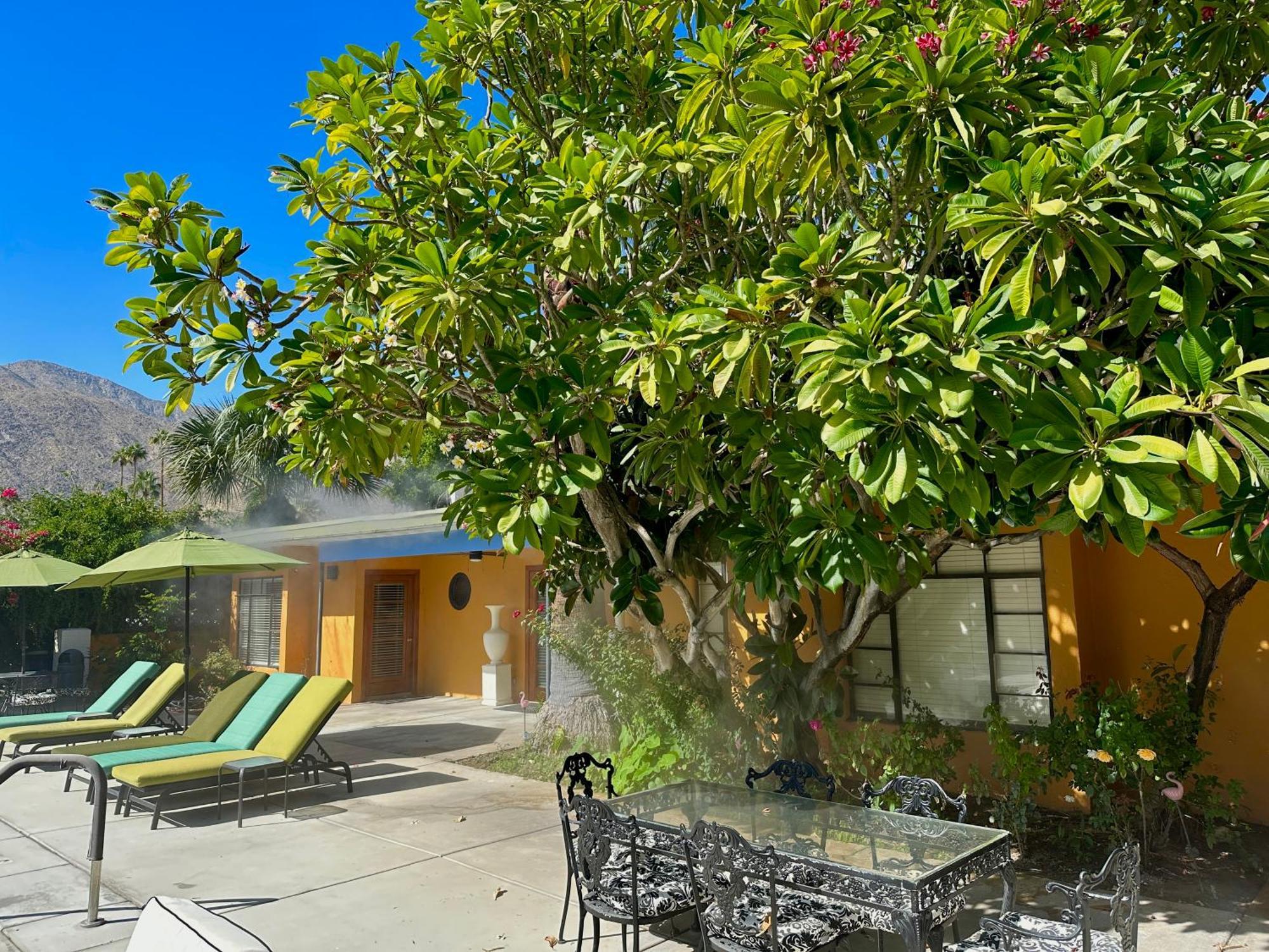 Vista Grande Resort - A Gay Men'S Resort Palm Springs Luaran gambar